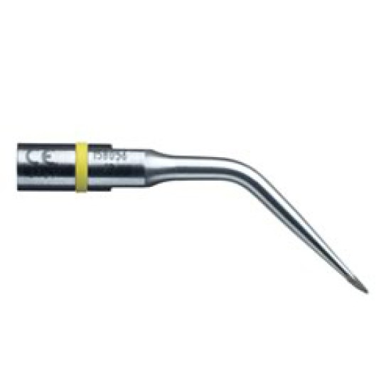 Inserto G13RD Gnatus