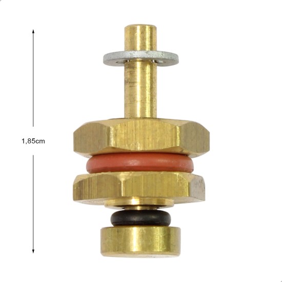 Válvula de Anti Vácuo Modelo Antigo - Digitale