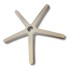 Base Secretaria Standard S/rod (estrela Do Mocho)