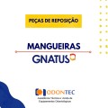 Mangueiras