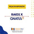 Raios X